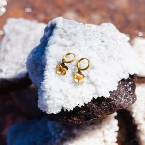 Gold flower-shaped earrings on a piece of white salt晶体
